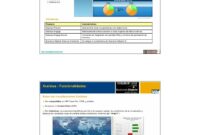 Xcelsius SAP Business Objects XI