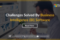 5 Challenges Solved by Business Intelligence Software